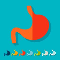 Flat design stomach N10