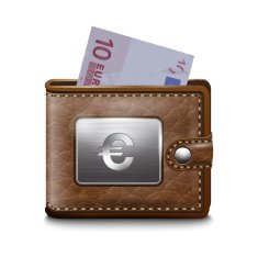 Leather wallet with EURO vector image