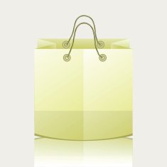 Paper Shopping Bag N9