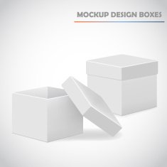 mocup boxes vector
