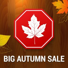 big autumn sale vector on wood background