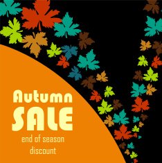 Autumn Sale N35