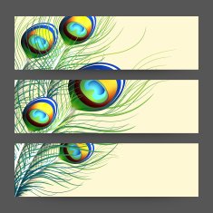 Web header or banner with peacock' feather