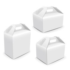 blank paper packaging bags with handle N2