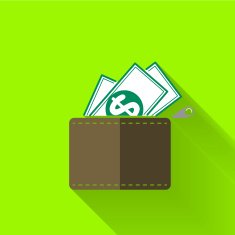 colorful flat design wallet icon