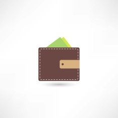 Wallet Icon N22
