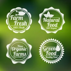 Set of organic and natural badges labels