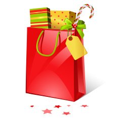 Christmas Shopping Bag N7