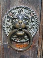 door lion