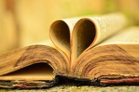 old antique book bible