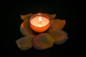 tealight and rose petals