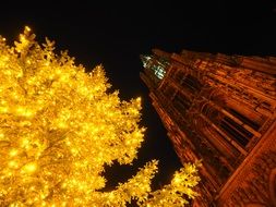 Christmas three with lights at Ulm Cathedral, germany, mÃ¼nster