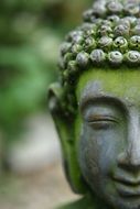 Moss on the Buddha Statue