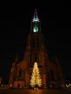 christmas lights MÃ¼nster