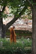 monk near the monastery