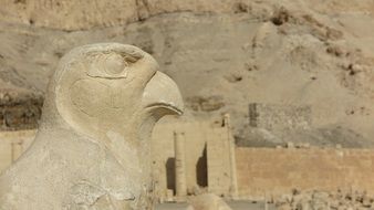 horus head, ancient stone carving, egypt, luxor