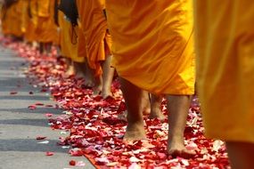 buddhists walk on roses petals