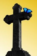 blue butterfly on the christian cross