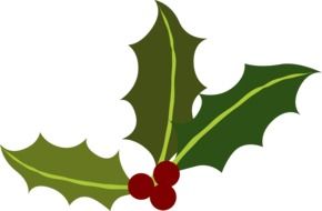christmas holly berries
