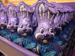 chocolate easter bunny for sale