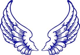 wings angel country safe blue