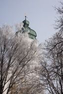 church steeple in the trees