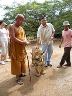 buddhist monk and man with leashed tiger