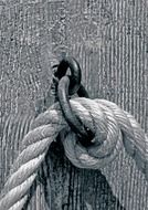 rope knot close-up