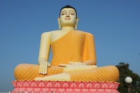 buddha statue in sri lanka