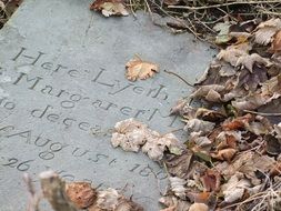 gray headstone on autumn cemetery