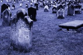 ancient cemetery culture