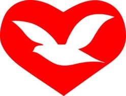 religion pigeon heart peace dove