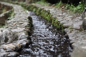 creek running water
