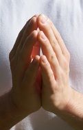 picture of the praying hands