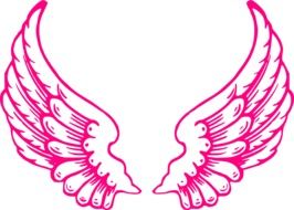 pink wings of a angel as a graphic illustration