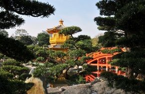 temple among green trees in hong kong