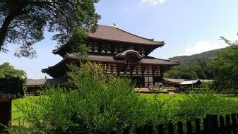 temple on green meadow, japan