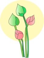 Lotus bloom drawing