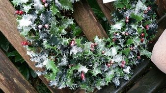 frost on a Christmas wreath