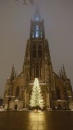 ulm cathedral and christmas tree