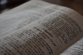 bible leaves with text