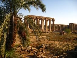 temple ruin egypt