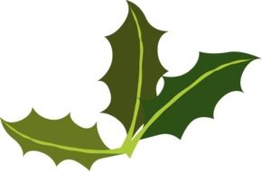holly green leafs drawing