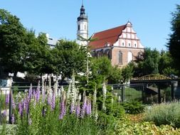 church among the picturesque nature in opole