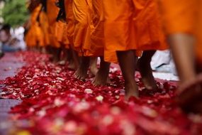 monks buddhists walk rose petals orange robes