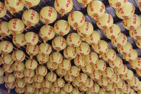 many lanterns on the ceiling in the temple