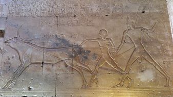amun her kepshef