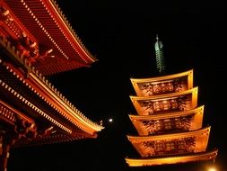 roof of senso-ji temple at Night sky, japan, tokyo