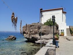 sun drying octopus in Greece