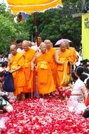 buddhists supreme patriarch in roses petals